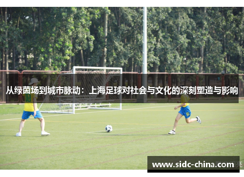 从绿茵场到城市脉动：上海足球对社会与文化的深刻塑造与影响