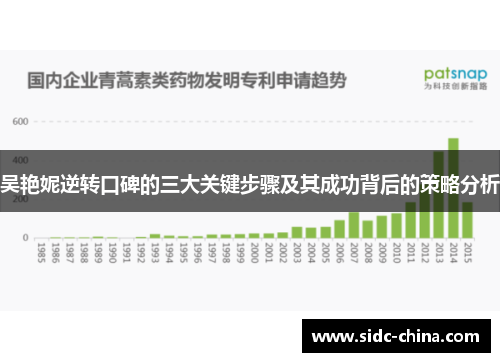 吴艳妮逆转口碑的三大关键步骤及其成功背后的策略分析