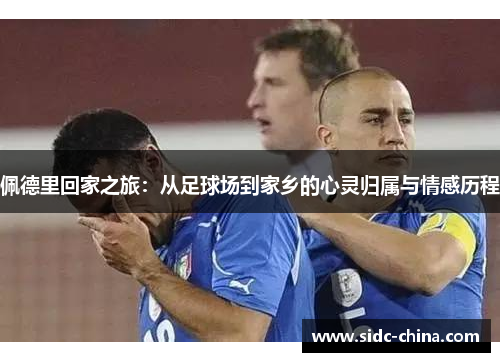 佩德里回家之旅：从足球场到家乡的心灵归属与情感历程