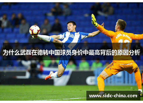 为什么武磊在德转中国球员身价中最高背后的原因分析