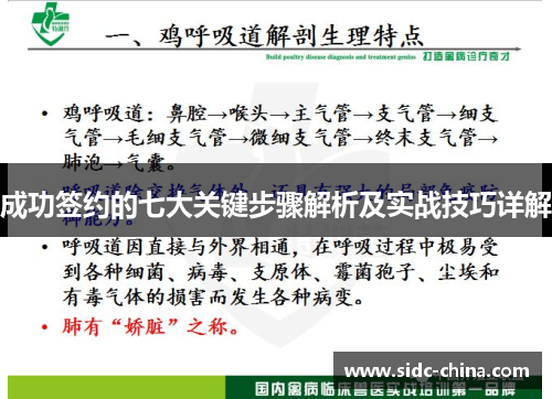 成功签约的七大关键步骤解析及实战技巧详解