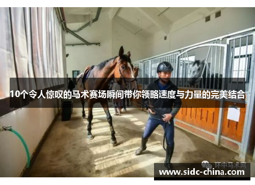 10个令人惊叹的马术赛场瞬间带你领略速度与力量的完美结合